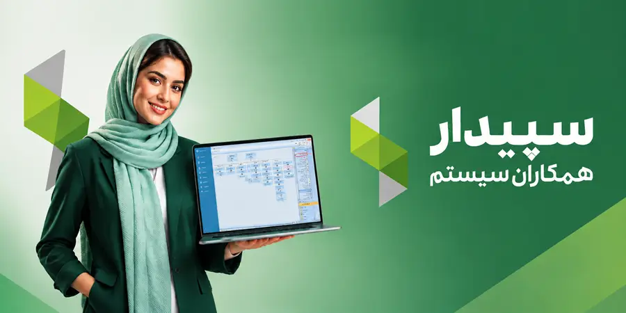 قیمت سپیدار